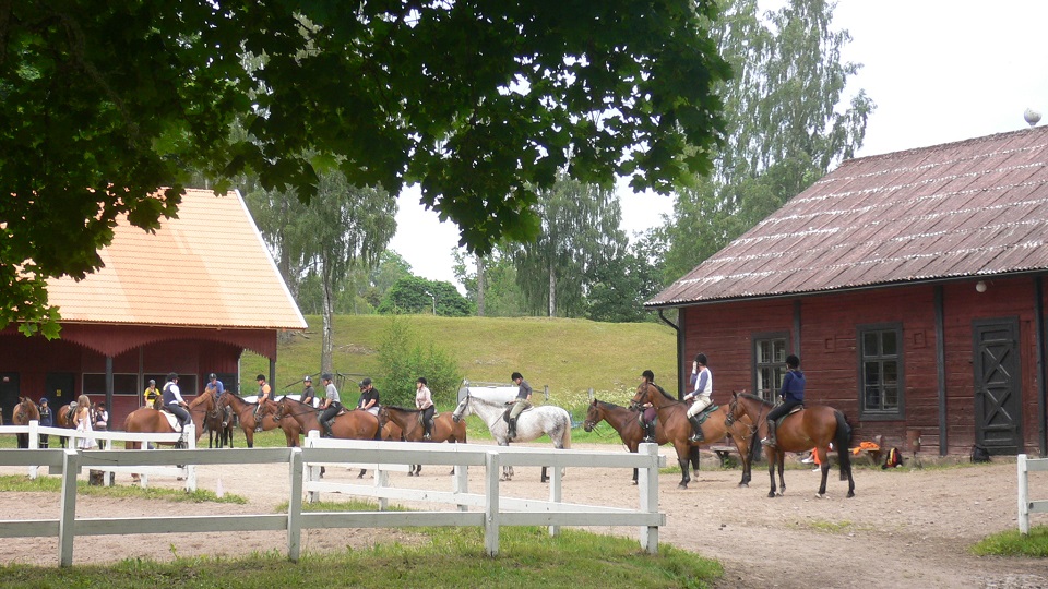 Hästar och ryttare på gårdsplan