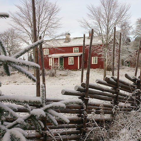 Gärdsgård i vinterskrud med rött hus med vita knutar i bakgrunden