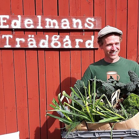 En man står framför en röd vägg med en låda full med grönsaker