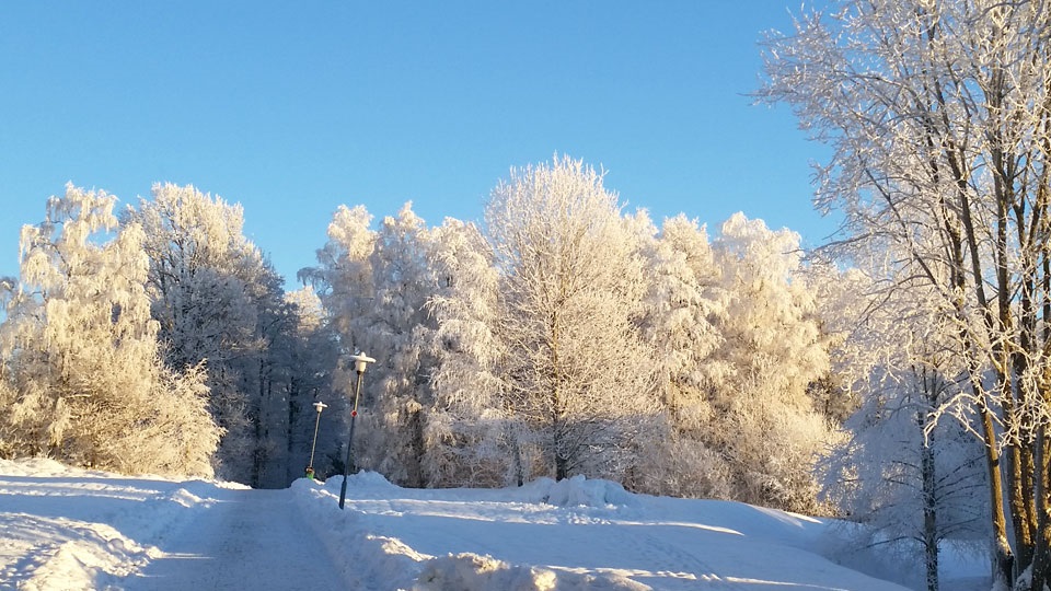 Promenadstråk en solig vinterdag med snötäckta träd och blå himmel.