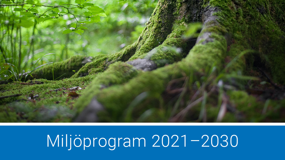 Närbild på en mossbeklädd trädstam i grönskande skogsmiljö med texten Miljöprogram 2021-2030