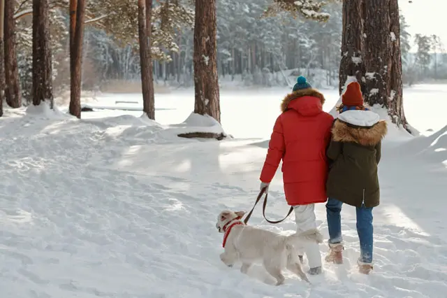 Par som vandrar längs snötäckt vandringsled