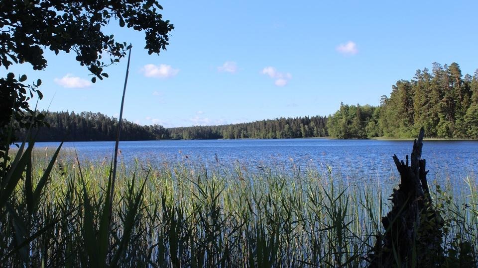 Utsikt över sjön Stråken en solig dag 