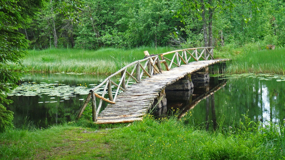 Pinnabron en grönskande sommardag