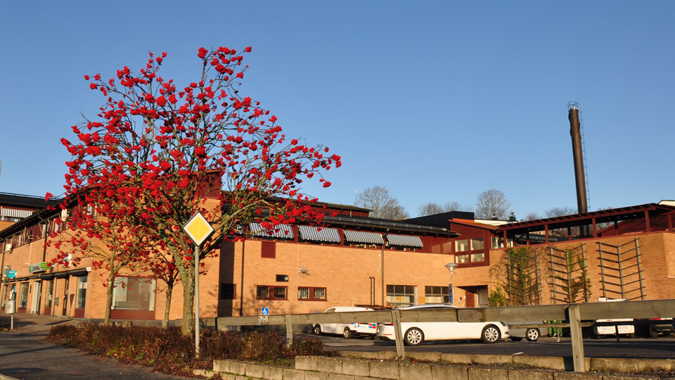 Röd tegelbyggnad med rönnbärsträd framför