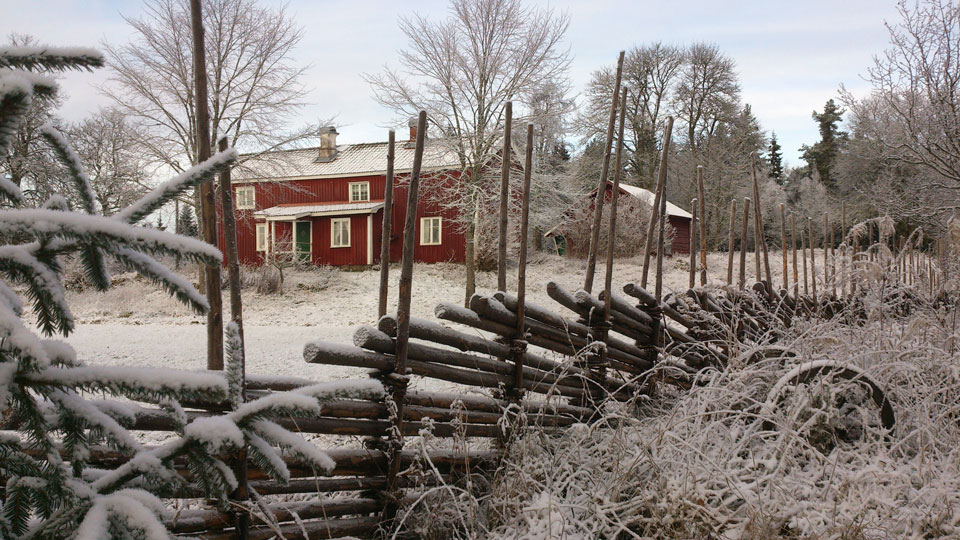 Gärdsgård i vinterskrud med rött hus med vita knutar i bakgrunden