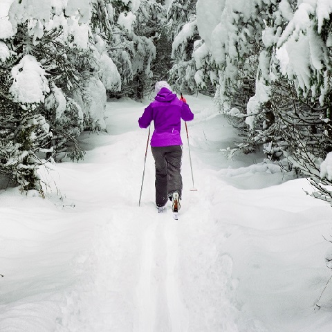 Människa åker längdskidor i en snötäckt skog