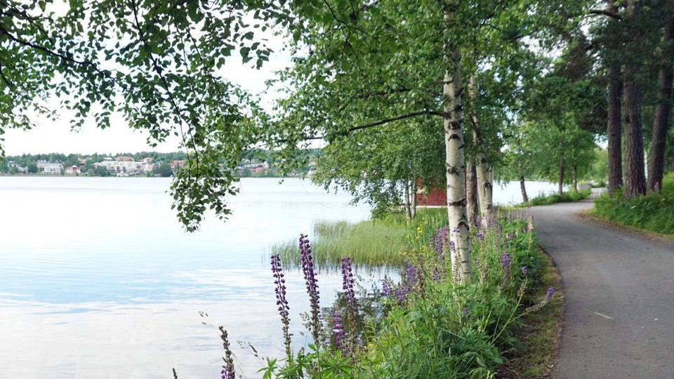 Bild på promenadstråk vid Mullsjön