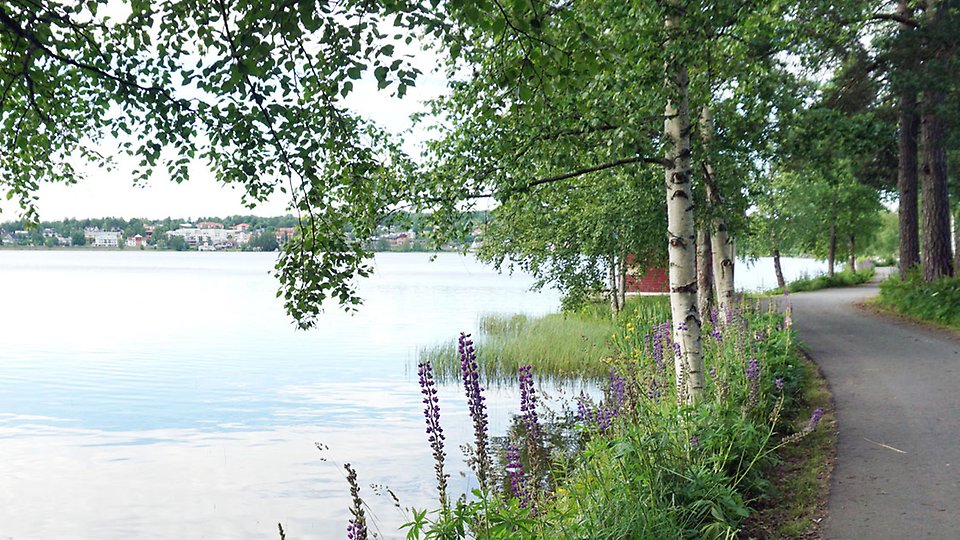 Vy över Mullsjön och en gångväg vid sidan om sjön.