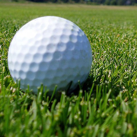 Närbild på golfboll på grönt gräs