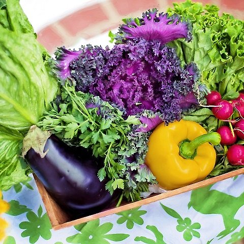 Färglada grönsaker i en trälåda